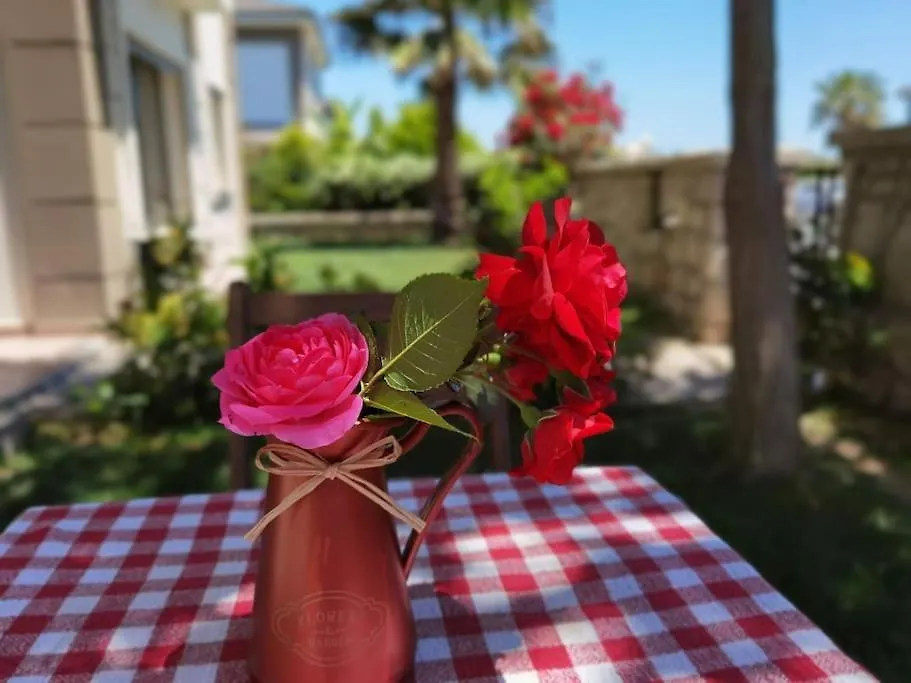 Funny Apartment Near Kite Surf Center Urla