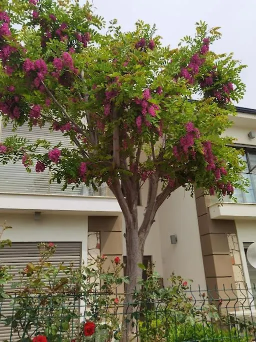 Funny Apartment Near Kite Surf Center Urla Turecko